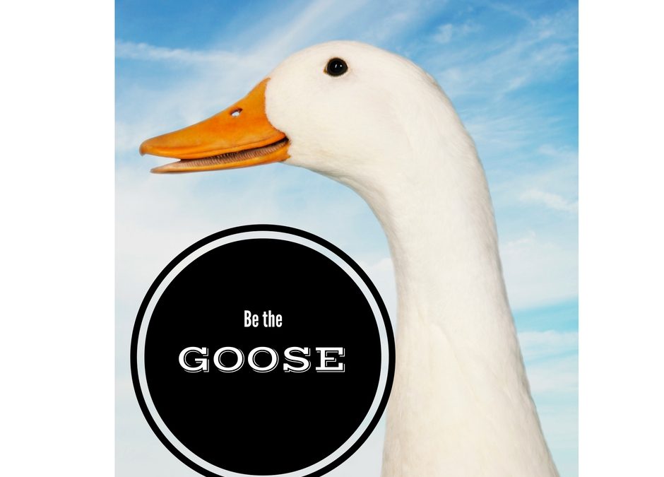Convert a prospect by being a GOOSE.