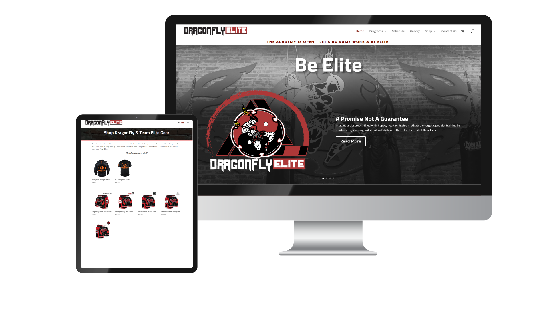 Dragonfly-elite-desktop-tablet